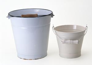 ガチャガチャの森：多彩なラインナップと楽しい体験を提供するお店